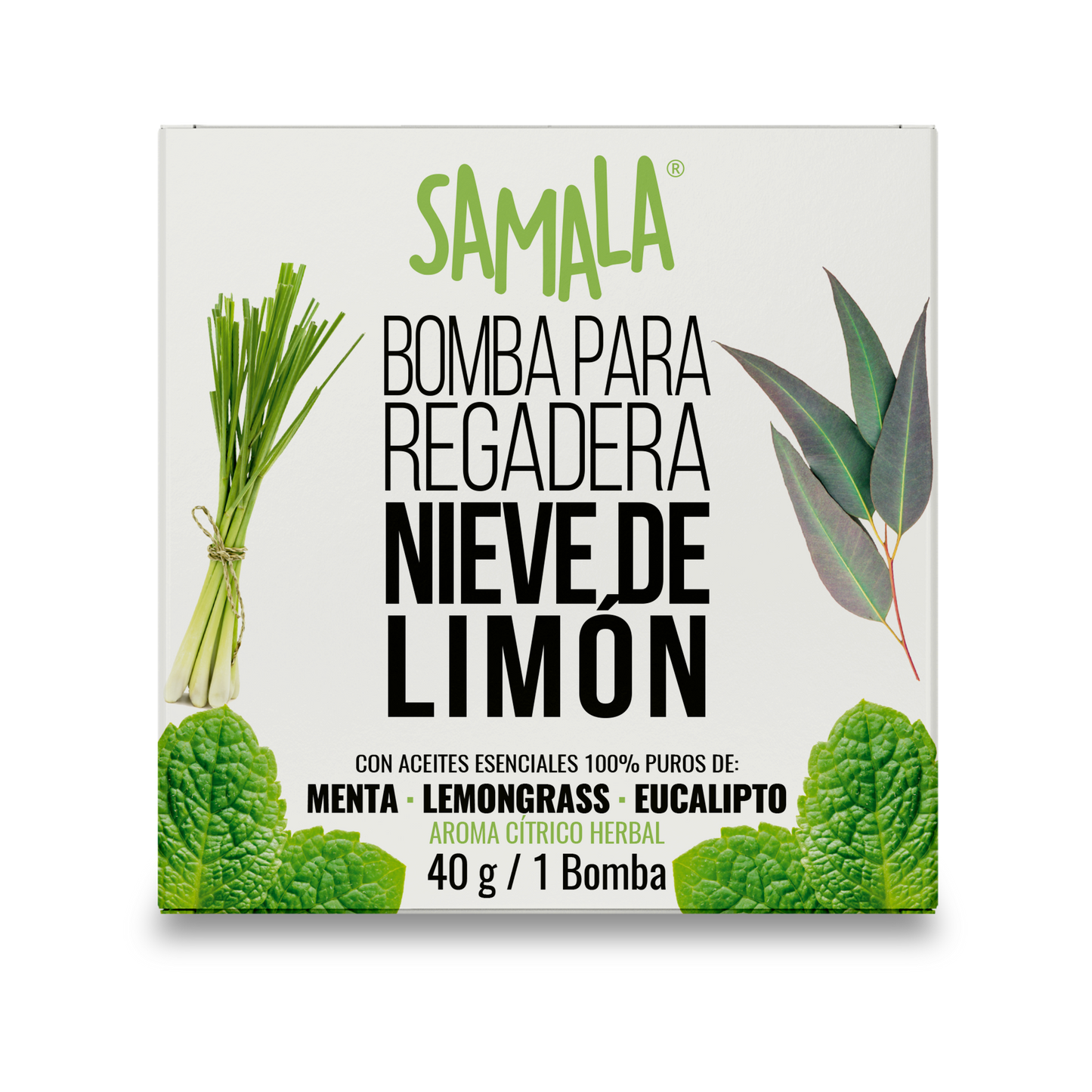 Bomba para Regadera Samala 40 g