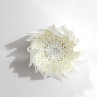 Bomba para Regadera Samala 40 g